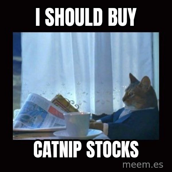 i should buy a boat cat meme: I should buy / catnip stocks