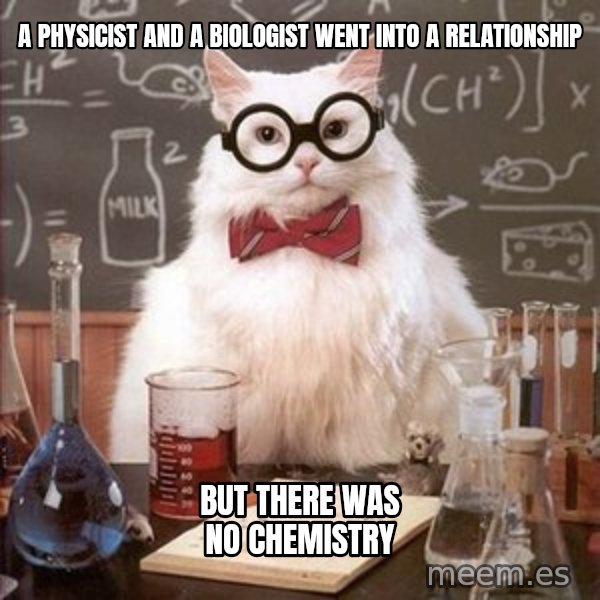 Chemistry Cat meme: A Physicist and a Biologist went into a relationship / But there was no Chemistry