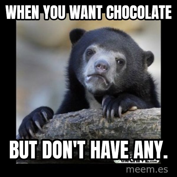 sad bear meme: When you want chocolate / But don't have any.