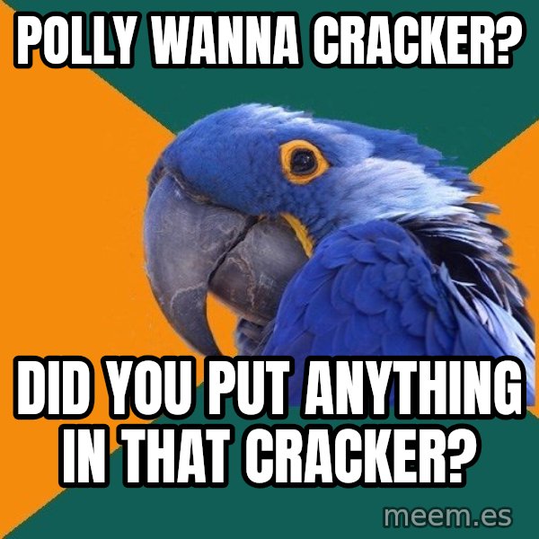 Paranoid Parrot meme: polly wanna cracker? / did you put anything in that cracker?