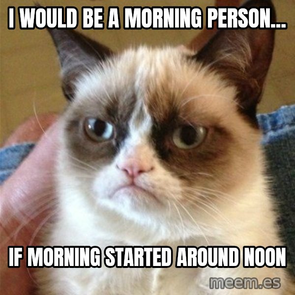 Grumpy Cat  meme: I would be a morning person... / If morning started around noon