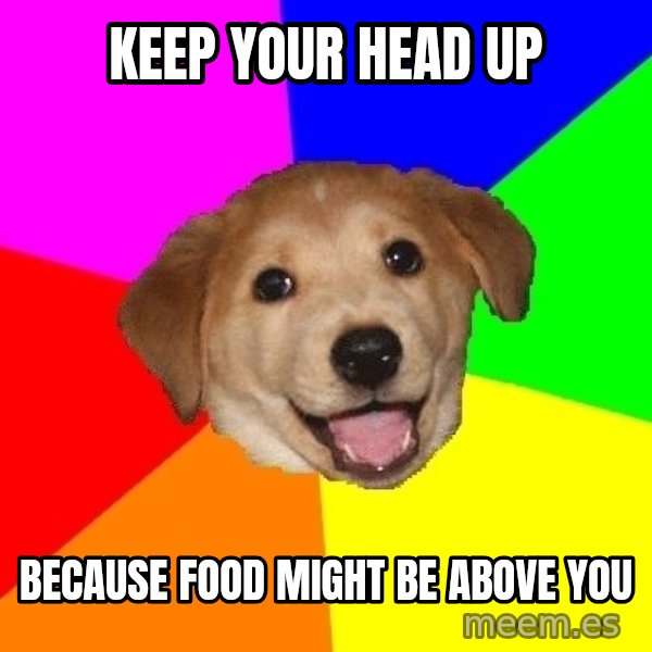 Advice Dog meme: keep your head up / because food might be above you