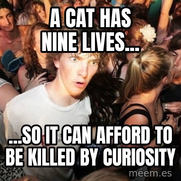 Sudden Realization Ralph meme: A cat has nine lives... / ...so it can afford to be killed by curiosity