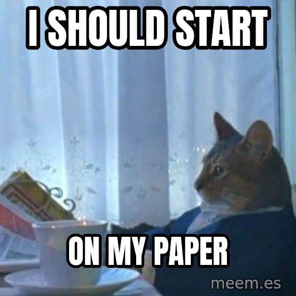 newspaper cat realization meme: I should start / on my paper