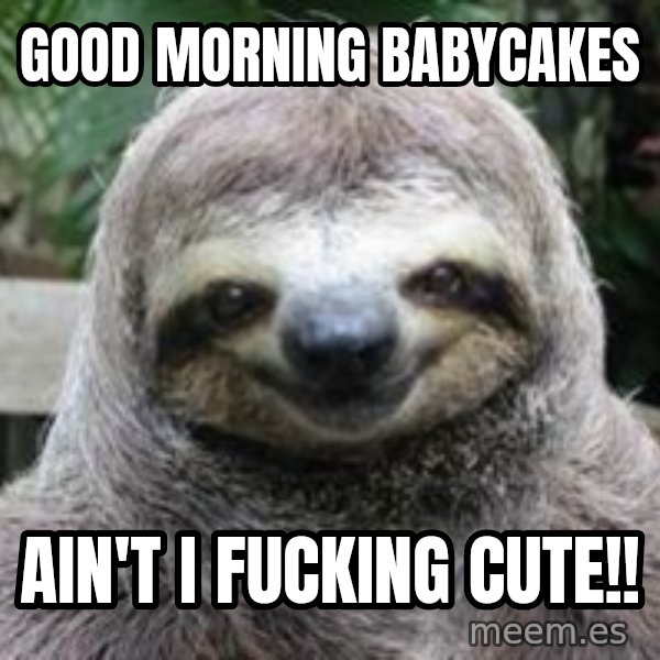 Sexual Sloth meme: Good morning babycakes / Ain't I fucking cute!!