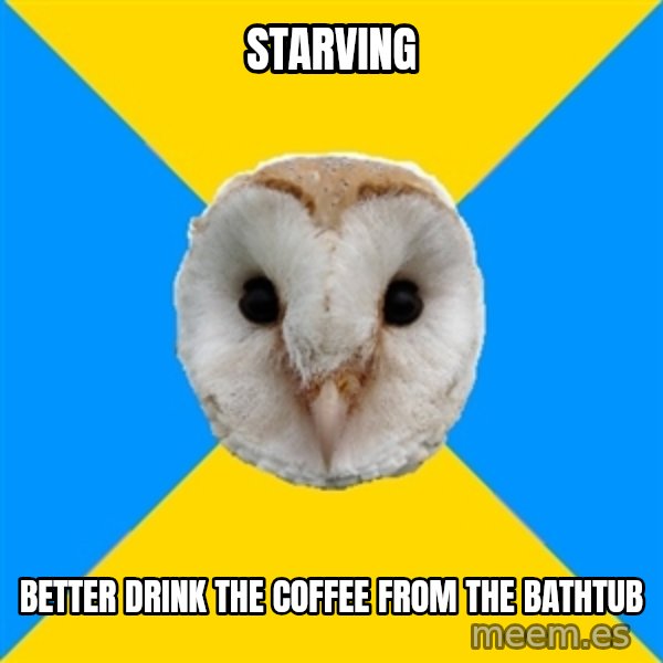 Bipolar Owl meme: starving / better drink the coffee from the bathtub
