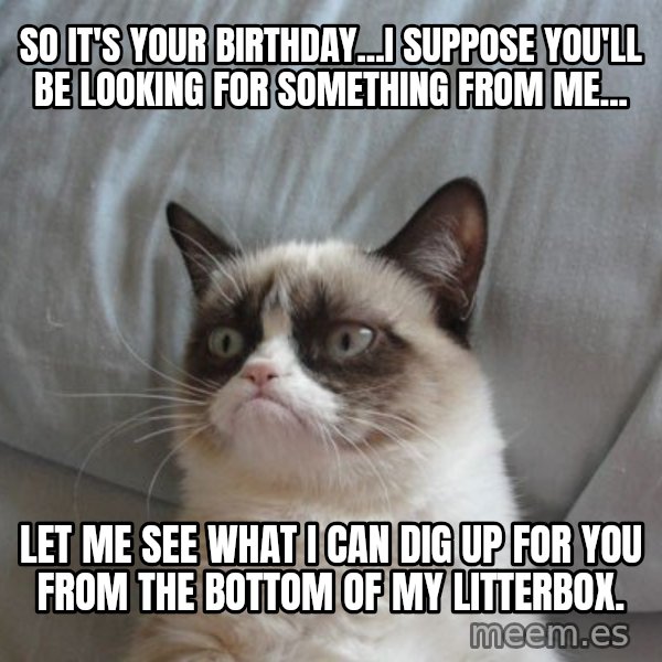 Grumpy cat good meme: So it's your birthday...I suppose you'll be looking for something from me... / Let me see what I can dig up for you from the bottom of my litterbox.