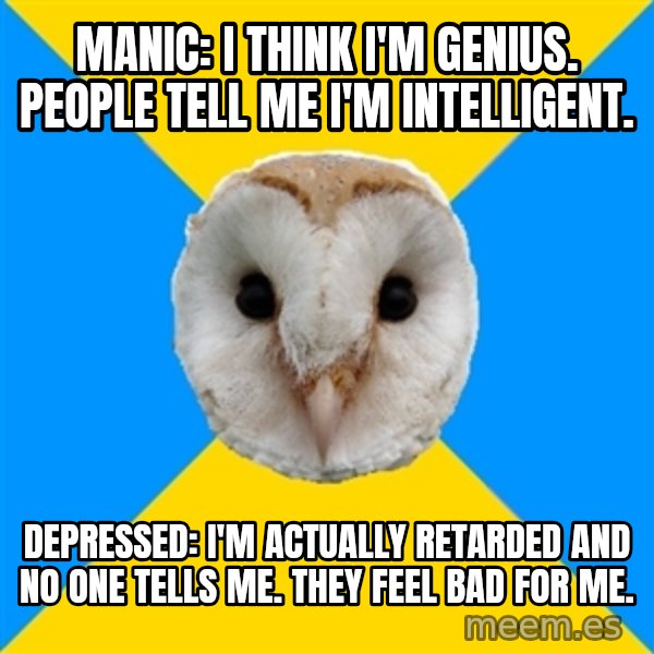 Bipolar Owl meme: manic: i think i'm genius. people tell me i'm intelligent. / depressed: i'm actually retarded and no one tells me. they feel bad for me.