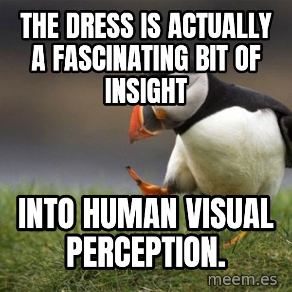 Unpopular Opinion Puffin meme: the dress is actually a fascinating bit of insight / into human visual perception.