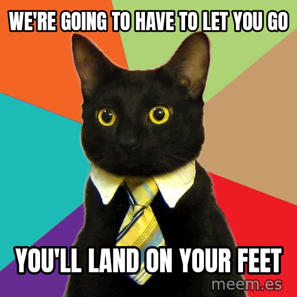 Business Cat meme: we're going to have to let you go / you'll land on your feet