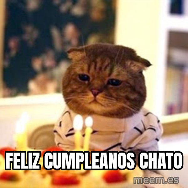 Birthday Cat meme: Feliz cumpleanos chato