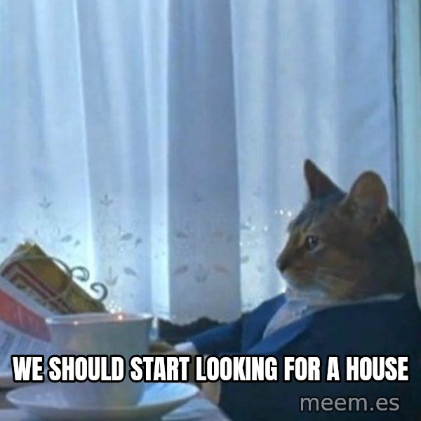 newspaper cat realization meme: we should start looking for a house