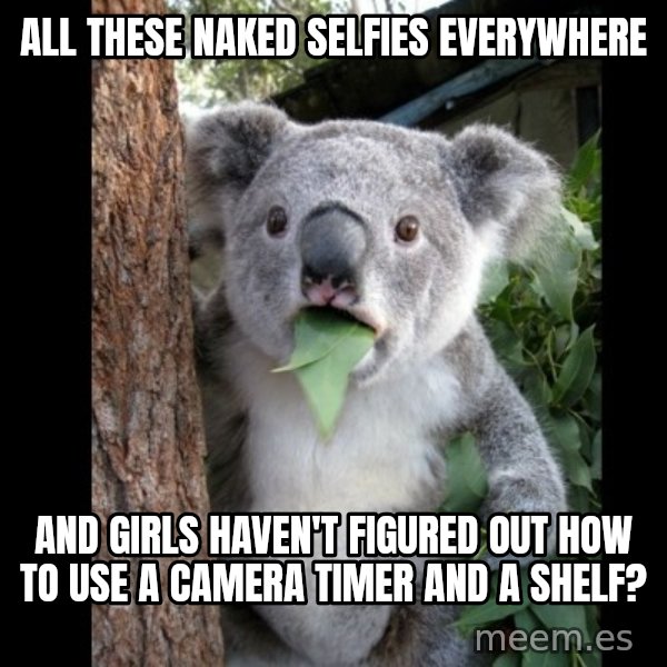 Koala can't believe it meme: all these naked selfies everywhere / and girls haven't figured out how to use a camera timer and a shelf?