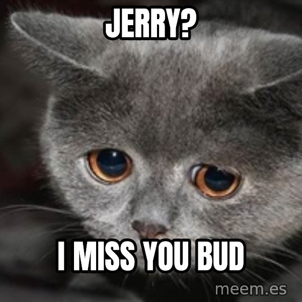 Sadcat meme: Jerry? / I miss you bud