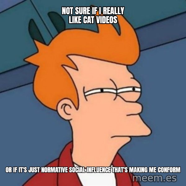 Not sure if troll meme: not sure if i really like cat videos / or if it's just normative social influence that's making me conform