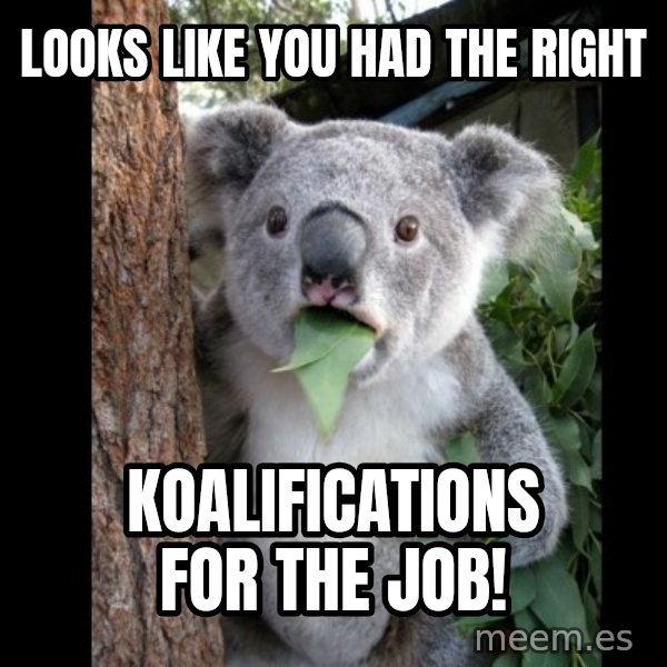 Koala can't believe it meme: Looks like you had the right / koalifications for the job!