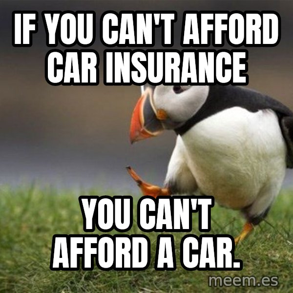 Unpopular Opinion Puffin meme: If you can't afford car insurance / you can't afford a car.