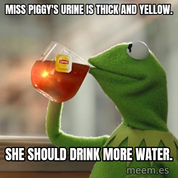 Kermit The Frog Drinking Tea meme: miss piggy's urine is thick and yellow. / she should drink more water.