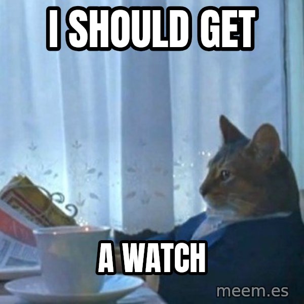 newspaper cat realization meme: I should get / a watch