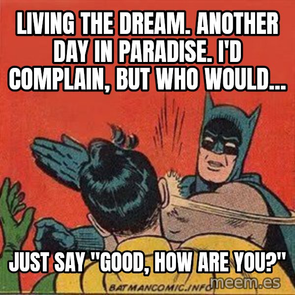 batman slap robin meme: Living the dream. Another day in paradise. I'd complain, but who would... / Just say "Good, how are you?"