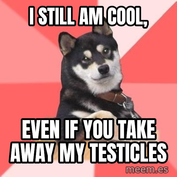 Cool Dog meme: I still am cool, / Even if you take away my testicles