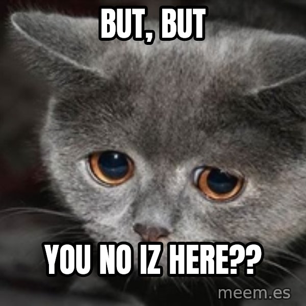 Sadcat meme: but, but / you no iz here??