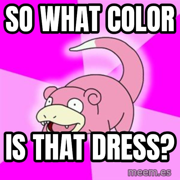 Slowpoke meme: So what color / is that dress?