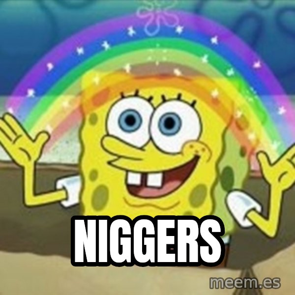 Spongebob meme: Niggers