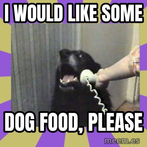 Yes, this is dog! meme: i would like some / dog food, please