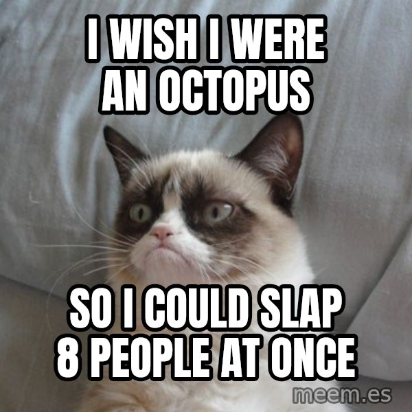 Grumpy cat good meme: i wish i were an octopus / so i could slap 8 people at once