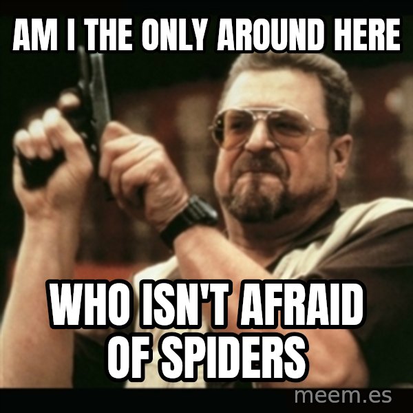 am i the only one around here meme: Am I the only around here / who isn't afraid of spiders