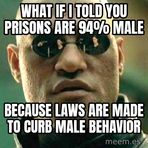 What if I told you / Matrix Morpheus meme: what if i told you prisons are 94% male / because laws are made to curb male behavior