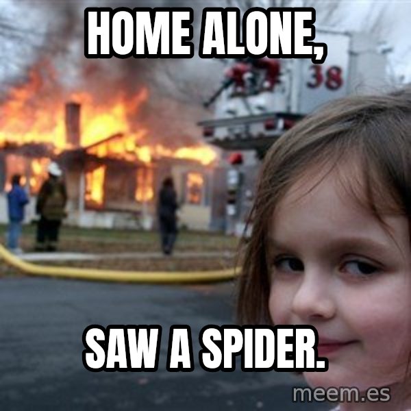 Disaster Girl meme: Home alone, / Saw a spider.