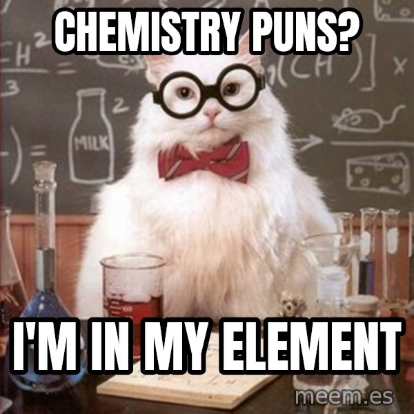 Chemistry Cat meme: CHEMISTRY PUNS? / I'M IN MY ELEMENT