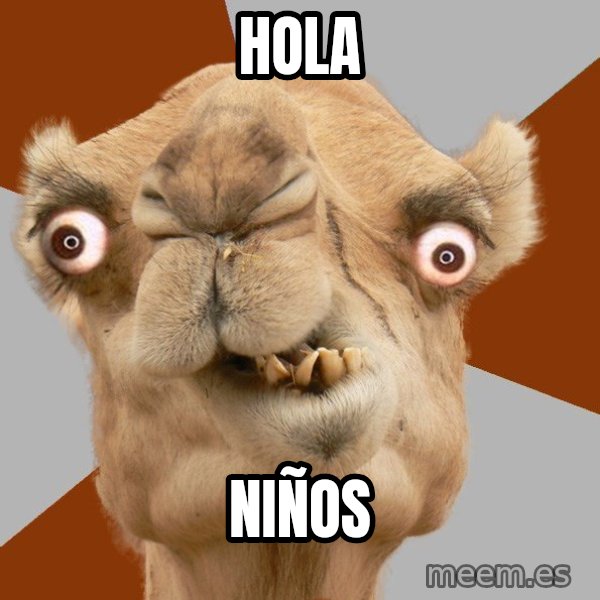 Crazy Camel lol meme: hola / niños