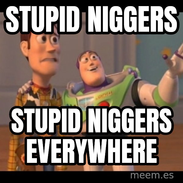 X, X Everywhere  meme: Stupid niggers / stupid niggers everywhere