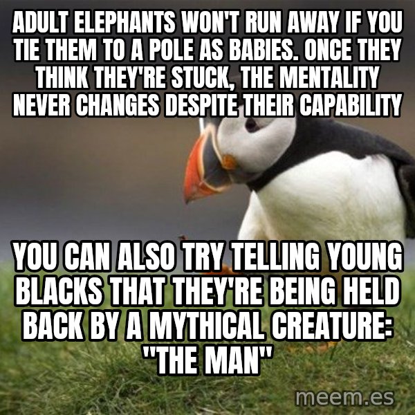 Unpopular Opinion Puffin meme: adult elephants won't run away if you tie them to a pole as babies. once they think they're stuck, the mentality never changes despite their capability / You can also try telling young blacks that they're being held back by a mythical creature: "the man"