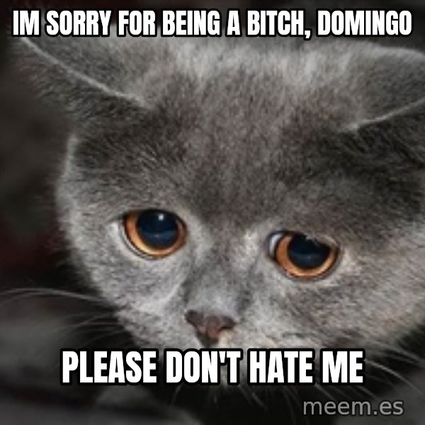 Sadcat meme: Im sorry for being a bitch, Domingo / Please don't hate me