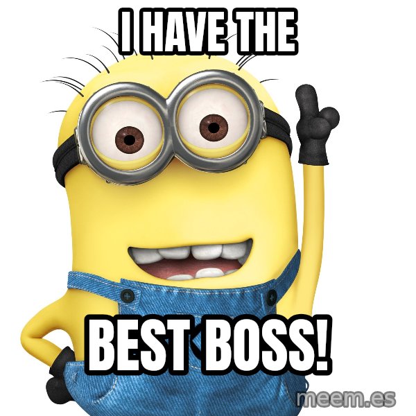 Despicable Me Minion meme: I have the / best boss!