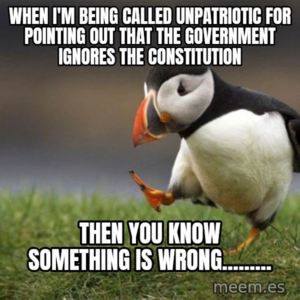 Unpopular Opinion Puffin meme: When I'm being called unpatriotic for pointing out that the government ignores the constitution / Then you know something is wrong.........