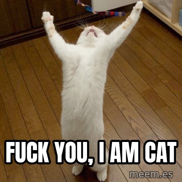 praise the lord cat meme: fuck you, i am cat
