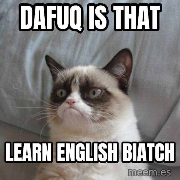 Grumpy cat good meme: dafuq is that / learn english biatch