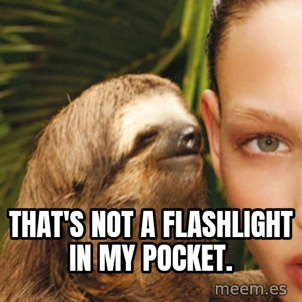 The Rape Sloth meme: That's not a flashlight in my pocket.