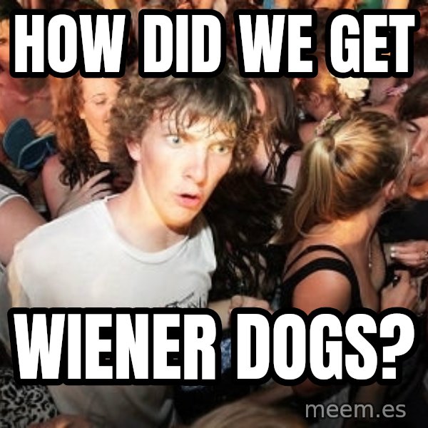 Sudden Realization Ralph meme: How did we get / wiener dogs?