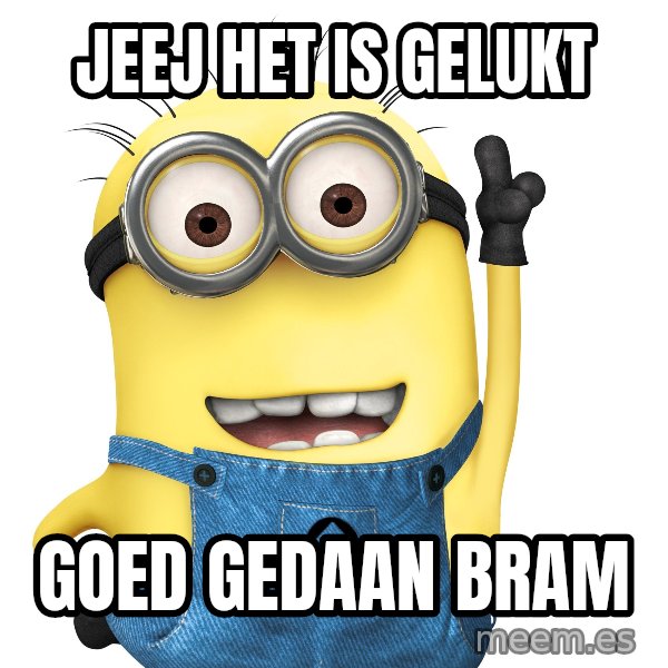 Despicable Me Minion meme: JEEJ HET IS GELUKT / GOED GEDAAN BRAM
