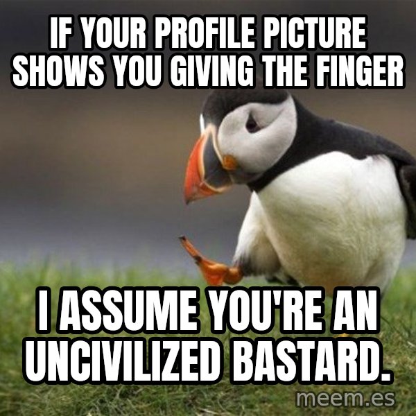 Unpopular Opinion Puffin meme: If your profile picture shows you giving the finger / I assume you're an uncivilized bastard.