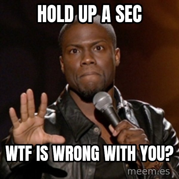 Kevin Hart meme: Hold up a sec / Wtf is wrong with you?