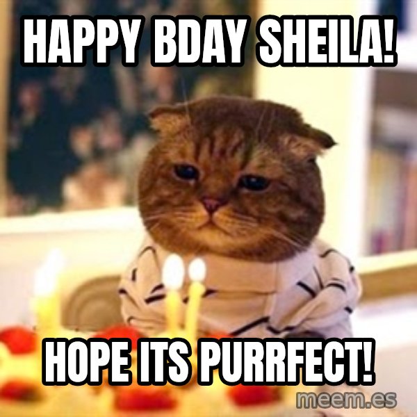 Birthday Cat meme: Happy Bday Sheila! / Hope its purrfect!