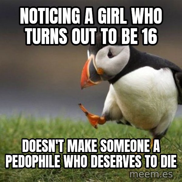 Unpopular Opinion Puffin meme: Noticing a girl who turns out to be 16 / Doesn't make someone a pedophile who deserves to die