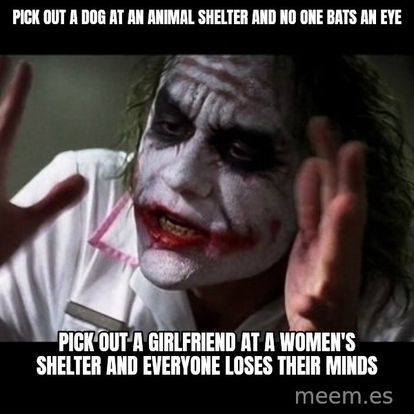 joker mind loss meme: pick out a dog at an animal shelter and no one bats an eye / pick out a girlfriend at a women's shelter and everyone loses their minds
